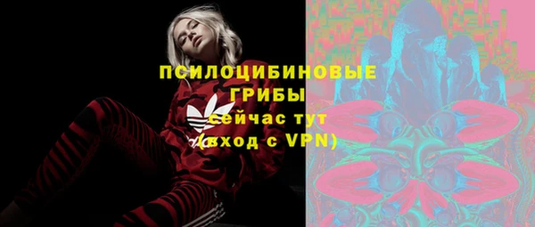 PSILOCYBIN Медногорск