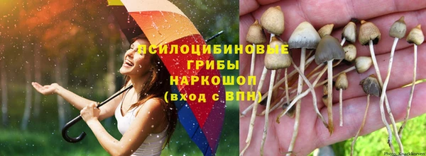 меф Михайлов