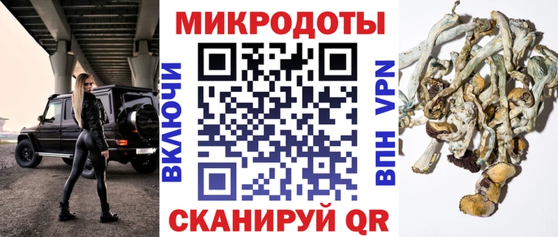 закладки  Петухово  Псилоцибиновые грибы прущие грибы 